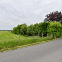 ObjectFoto.44793.d.jpg