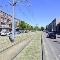 ObjectFoto.46596.8.jpg