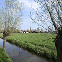 ObjectFoto.45721.15.jpg